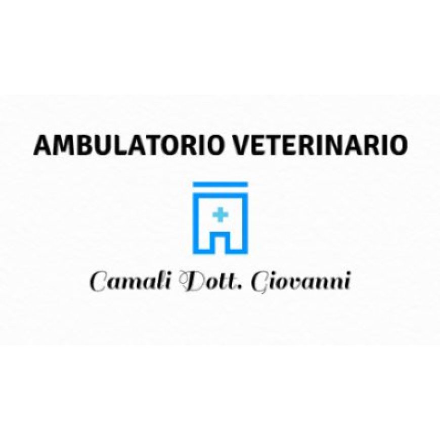 Venezia Ambulatorio Veterinario Camali Dr. Giovanni 041 719550