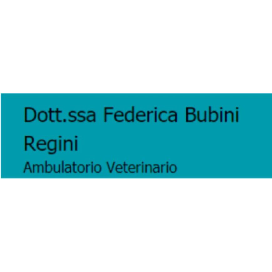 Venezia Ambulatorio Veterinario Bubini Regini 041 2420320