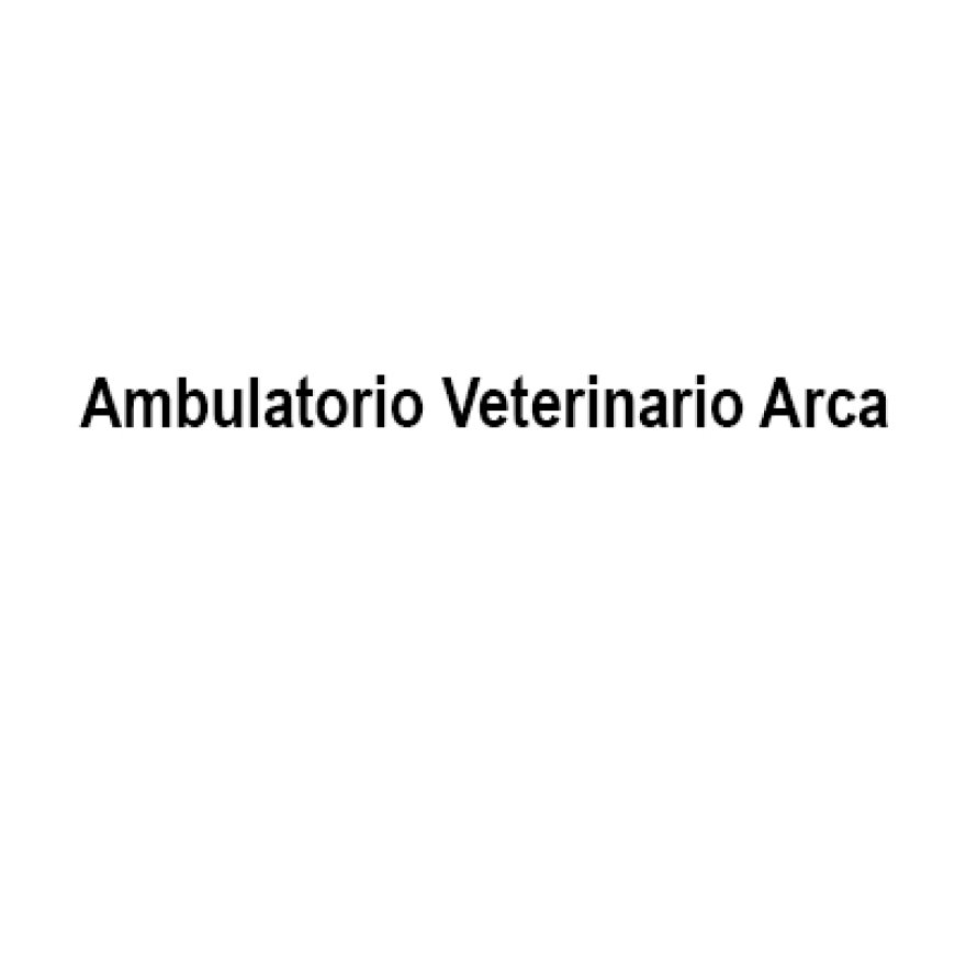 Umbertide Ambulatorio Veterinario Arca 075 9413881