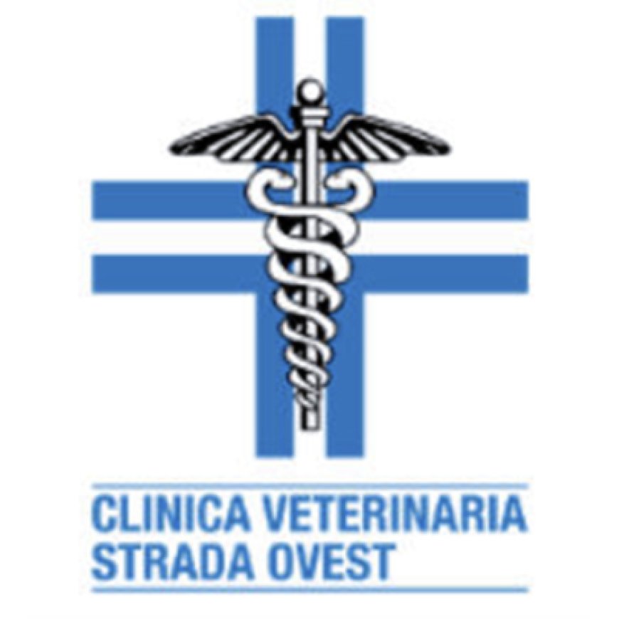 Treviso Clinica Veterinaria Strada Ovest 0422 262237