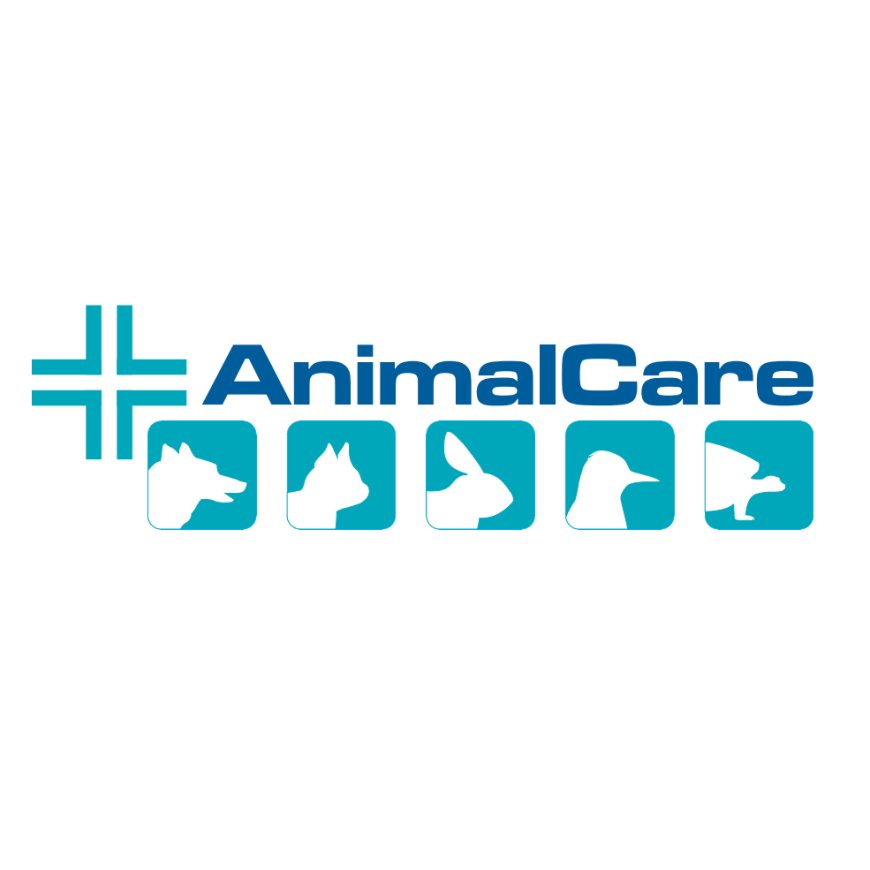 Trento Clinica Veterinaria Animal Care Trento 0461 390342