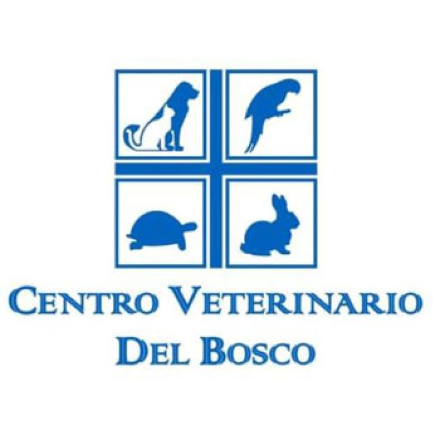 Tremestieri etneo Centro Veterinario del Bosco 328 8712329