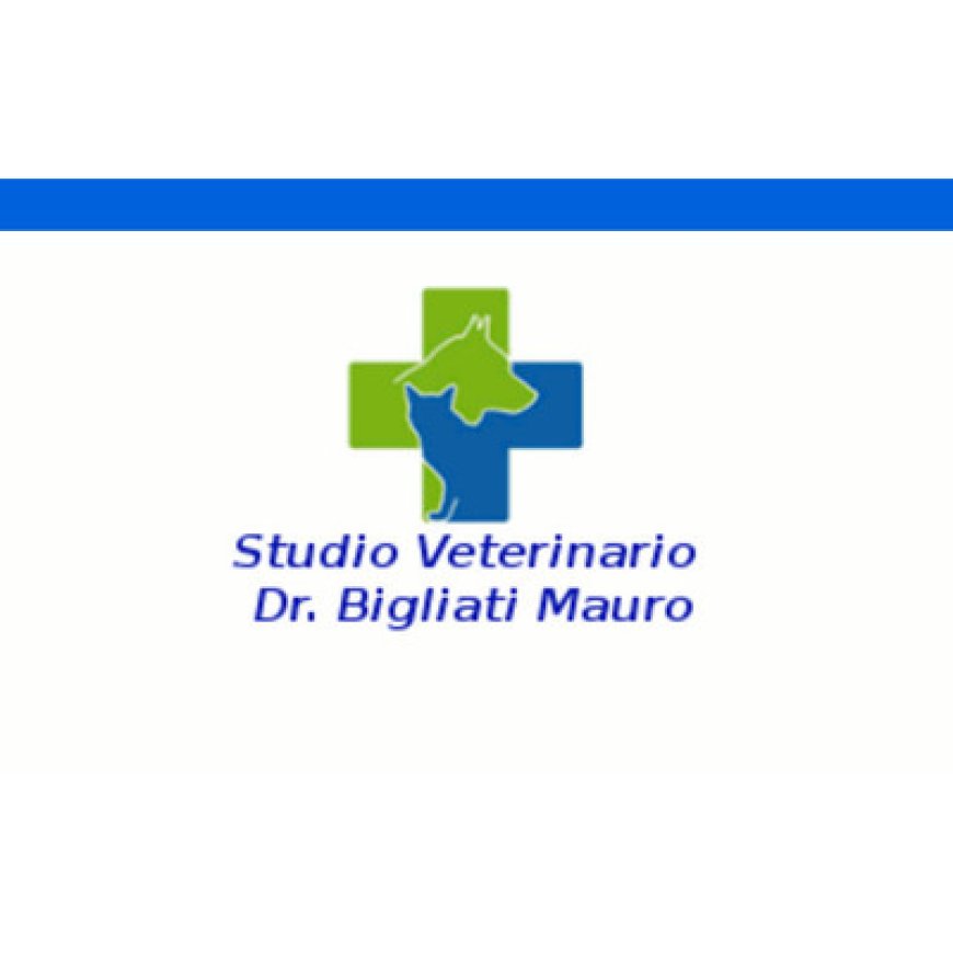 Torino Dr. Mauro Bigliati Veterinario 011 355360