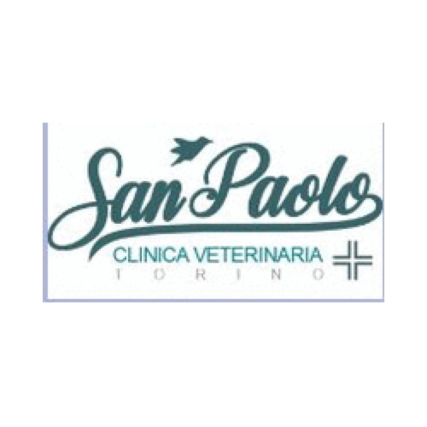 Torino Clinica Veterinaria San Paolo 388 4782314