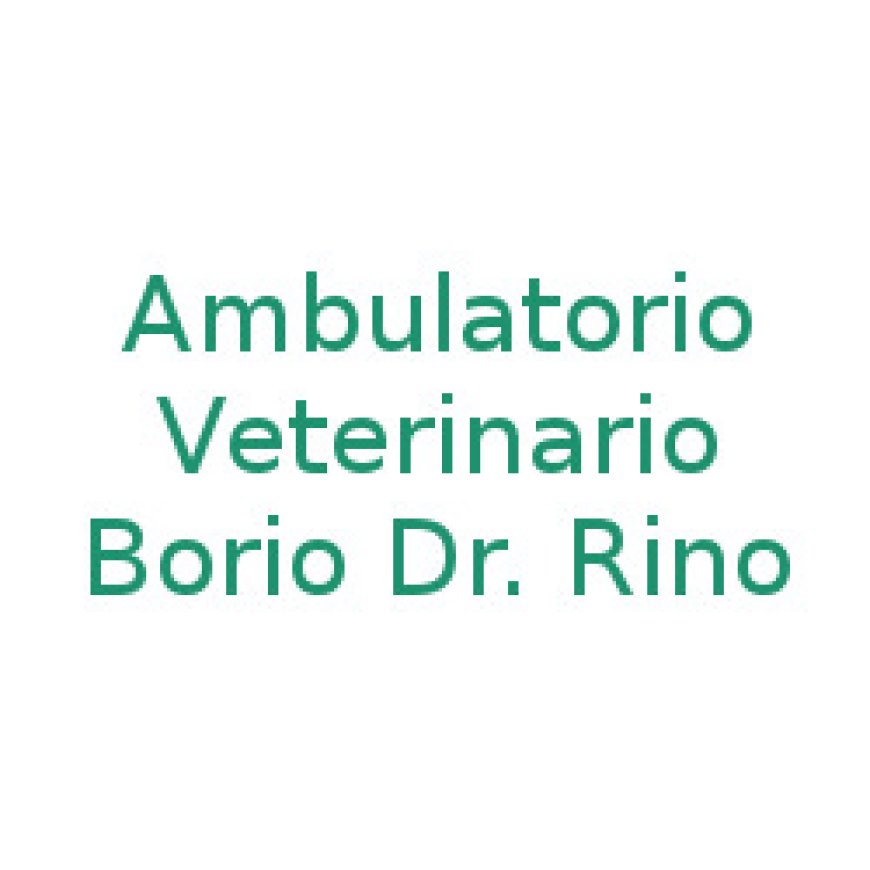 Torino Borio Dr. Rino Ambulatorio Veterinario 011 2731936