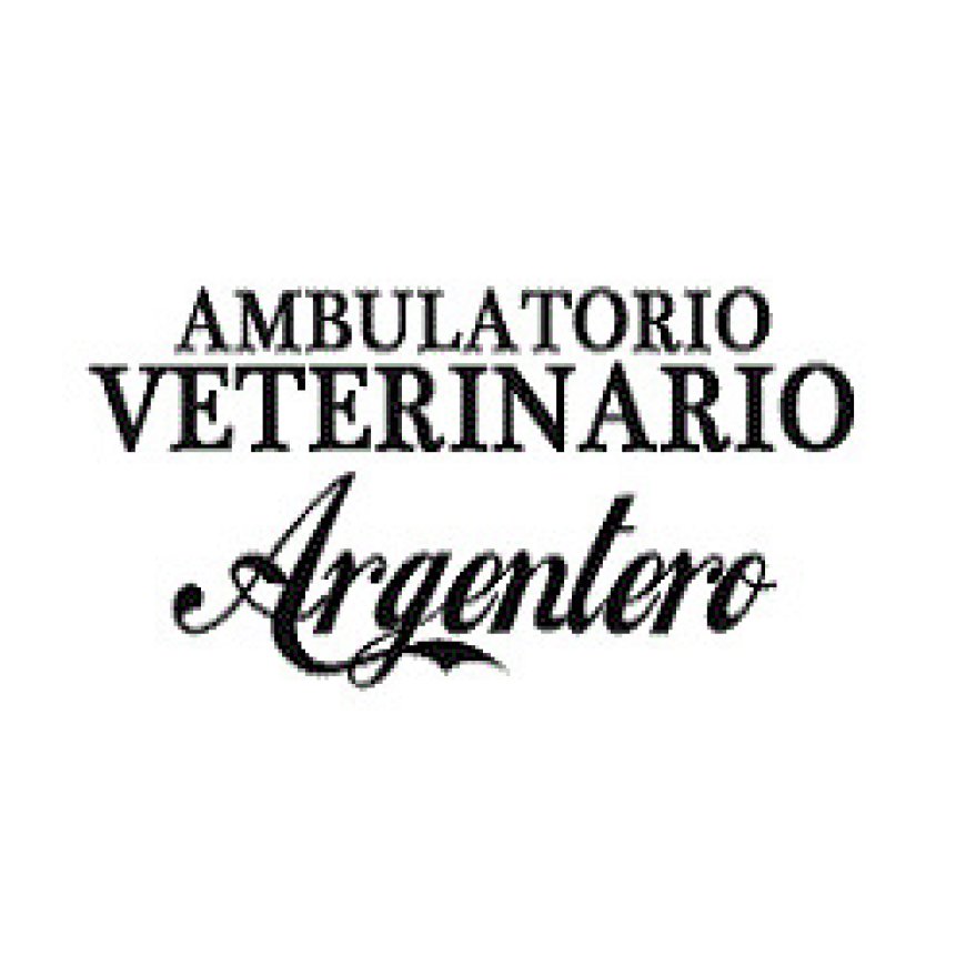 Torino Ambulatorio Veterinario Argentero 011 6503040