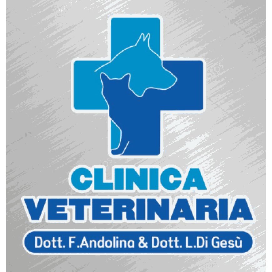 Termini imerese Clinica Veterinaria  Dott. Andolina  Dott. Di Gesù 091 8115225