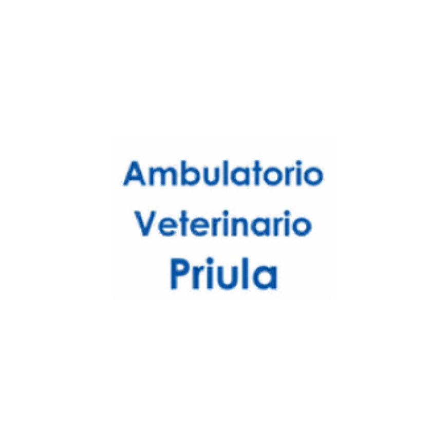 Susegana Ambulatorio Veterinario Priula 0438 445060