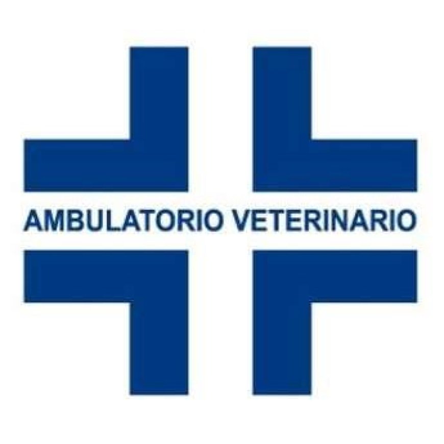 Sottomarina Dupuis Dr.ssa Annalisa Veterinario 041 4968167