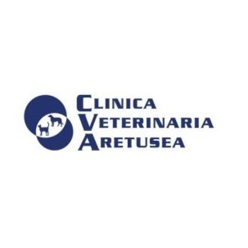Siracusa Clinica Veterinaria Aretusea 0931 62342