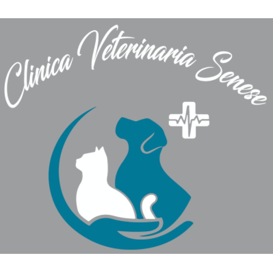 Siena Clinica Veterinaria Senese 0577 41412