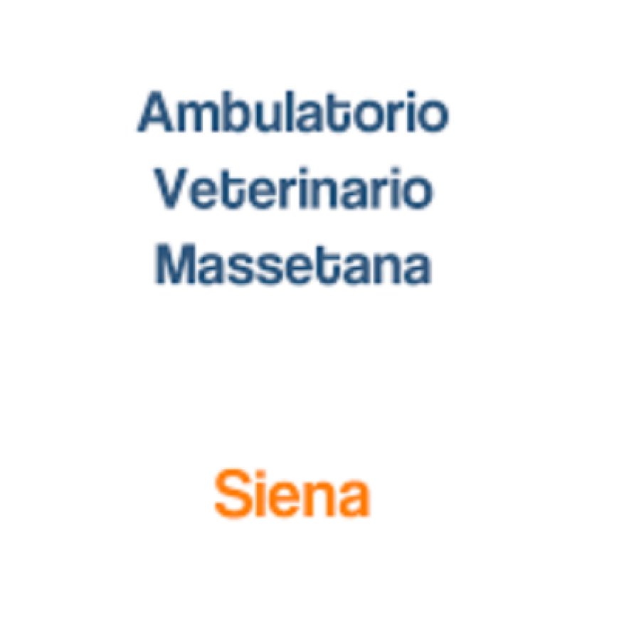 Siena Ambulatorio Veterinario Massetana 0577 247830