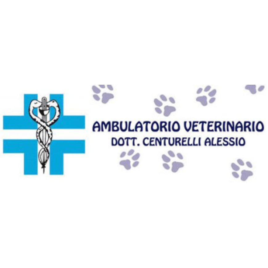 Settimo torinese Ambulatorio Veterinario Dr. Centurelli Alessio 328 2385045