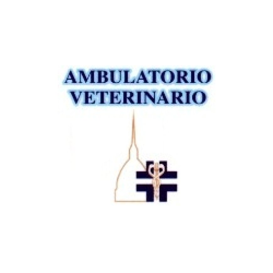 Settimo torinese Ambulatorio Veterinario Dr. Capussotti Silvano 011 8012333