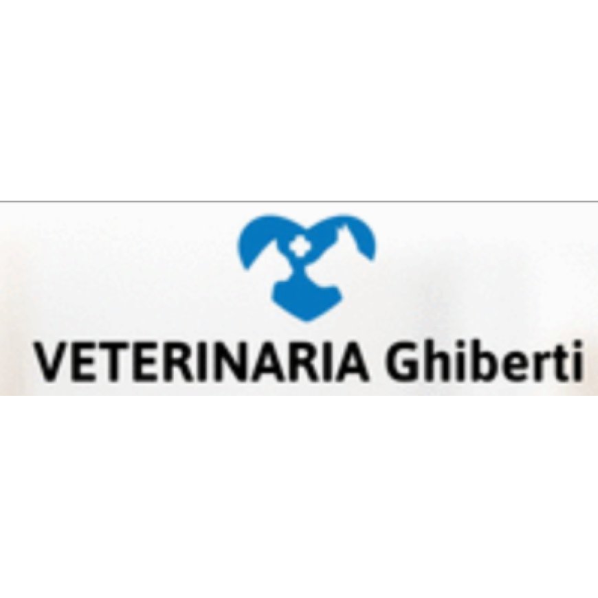 Sesto fiorentino Ambulatorio Veterinario Ghiberti 055 4216744