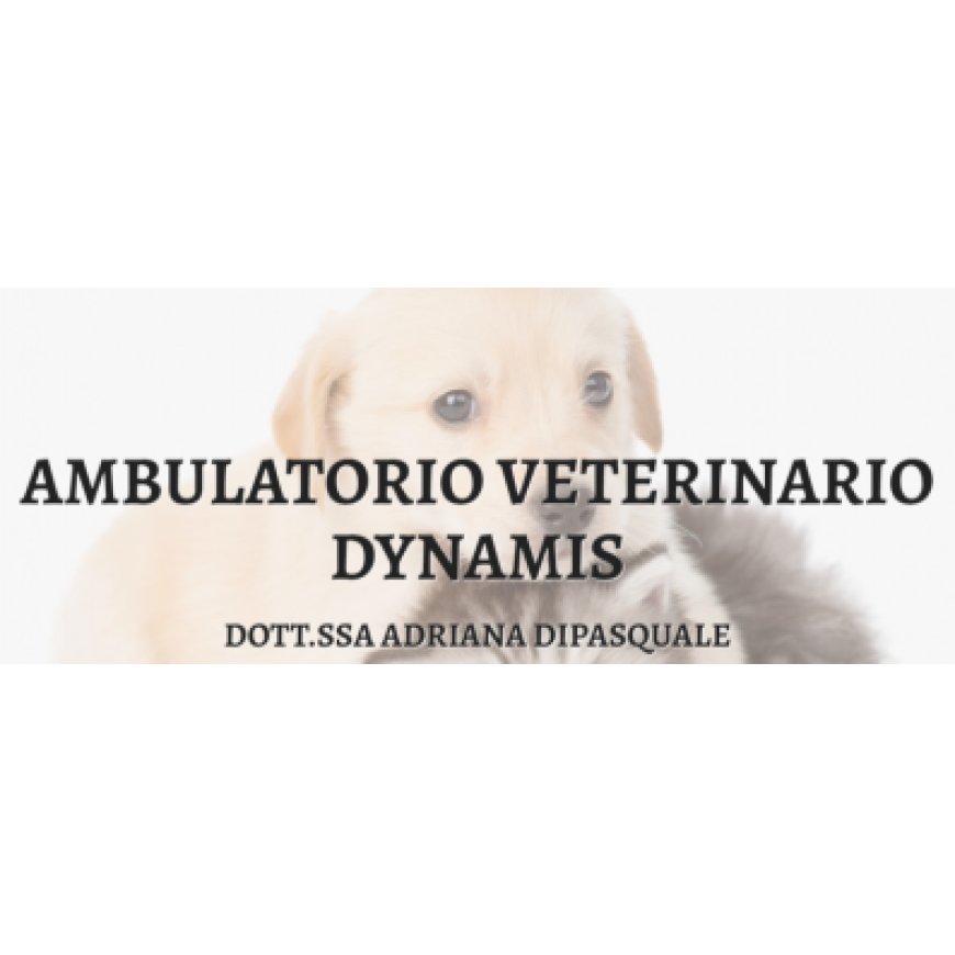 Scicli Ambulatorio Veterinario Dynamis della Dott.ssa Adriana Dipasquale 0932 835100