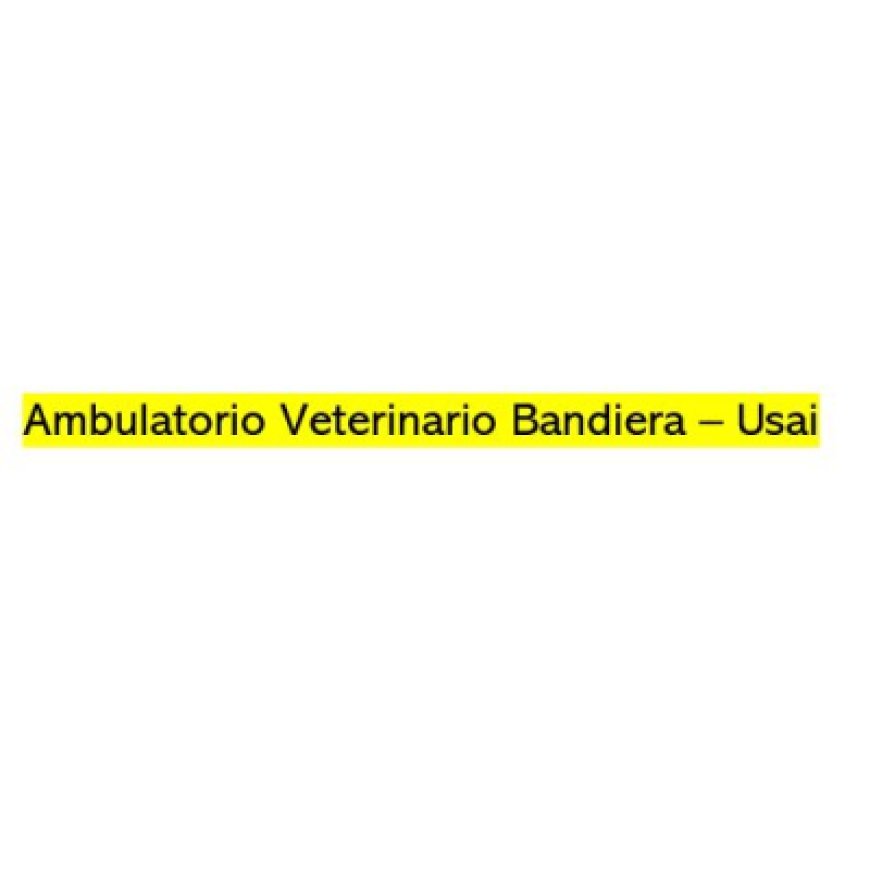 Sassari Ambulatorio Veterinario Bandiera - Usai 079 252411
