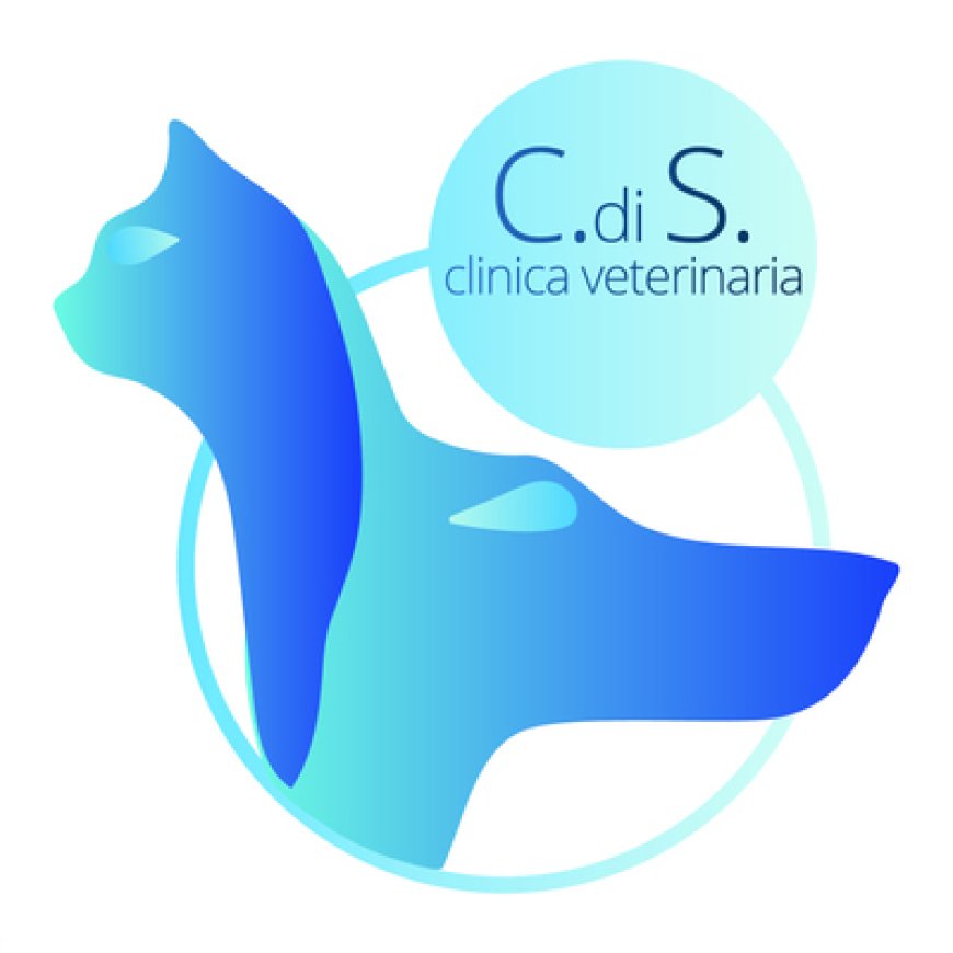 Santo chiodo Clinica Veterinaria Citta&#039;&#039; di Spoleto Dr Simone Dr Bartoloni Dr.Sa Dimarcantonio 329 7246994