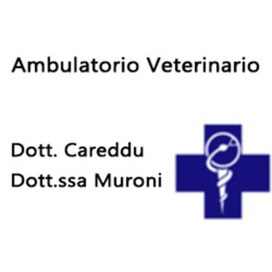 Santa teresa gallura Ambulatorio Veterinario Dott. Careddu e Dott.ssa Muroni 347 5448154