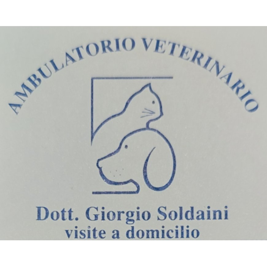 San miniato Ambulatorio Veterinario  Soldaini Dott. Giorgio 329 4430447