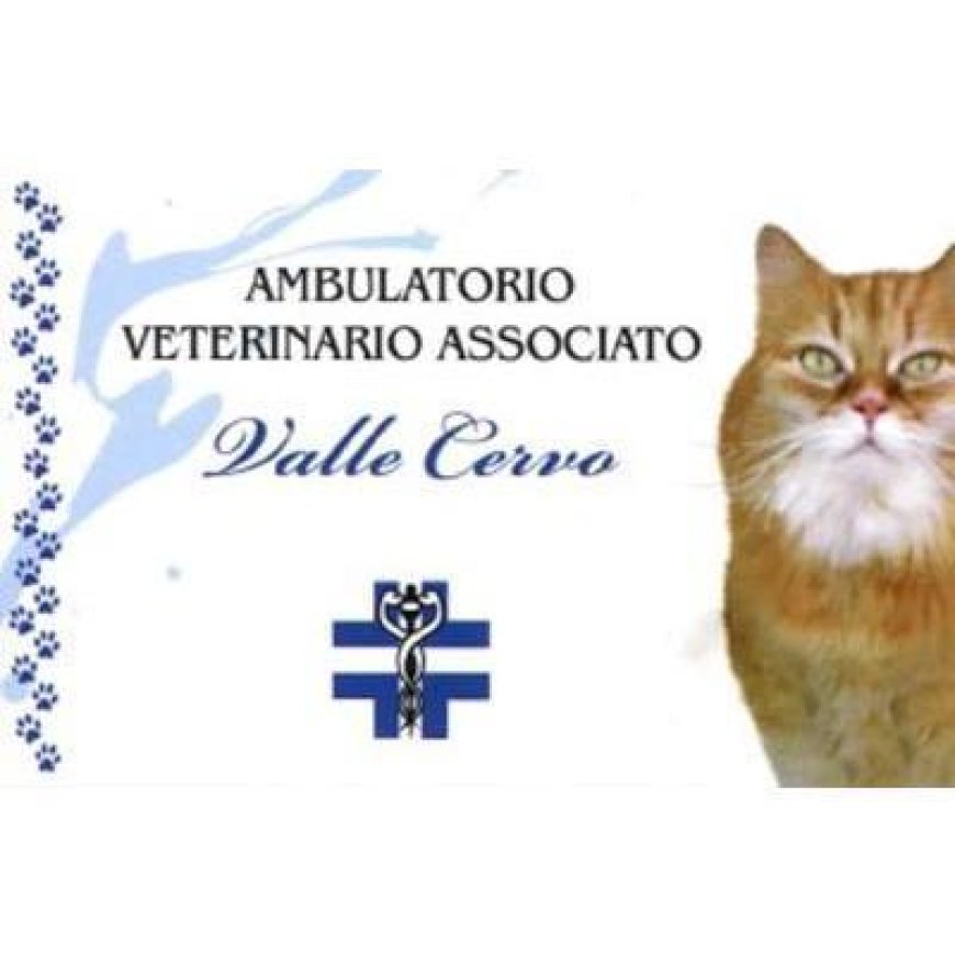 Sagliano micca Ambulatorio Veterinario Associato Valle Cervo 015 472884