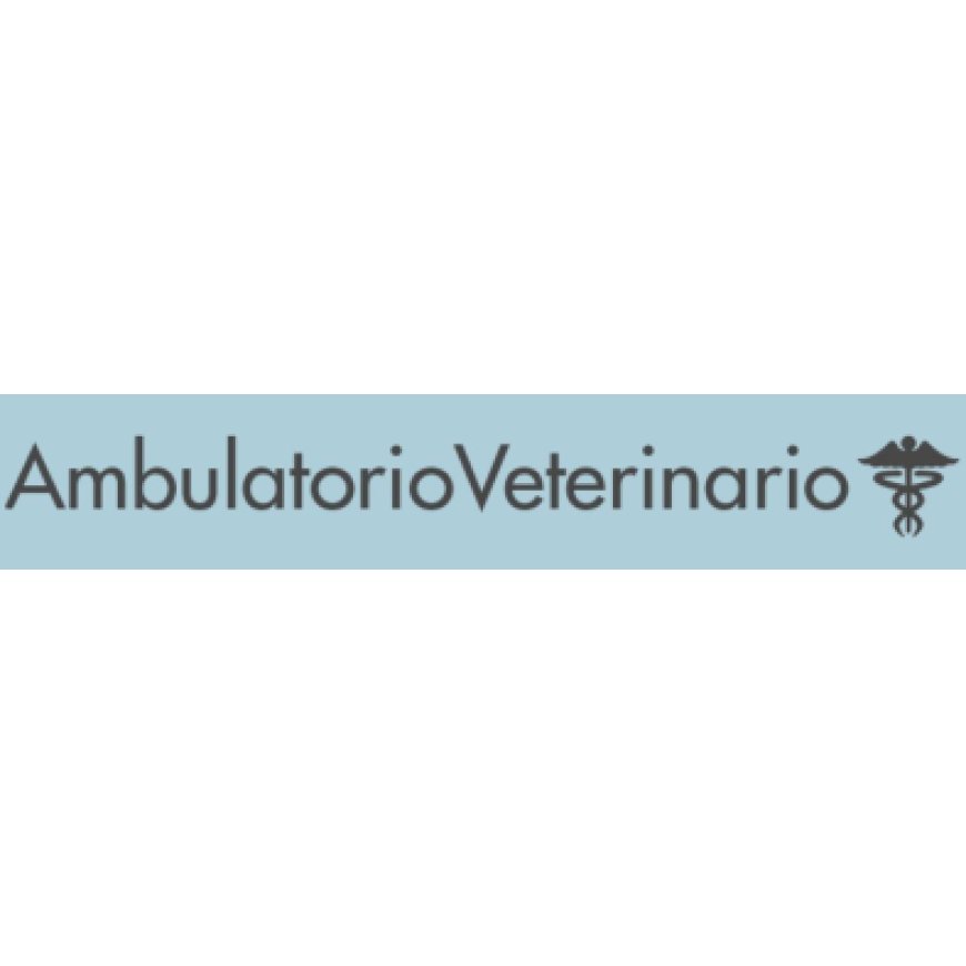 Saccolongo Ambulatorio Veterinario Saccolongo 049 8015486