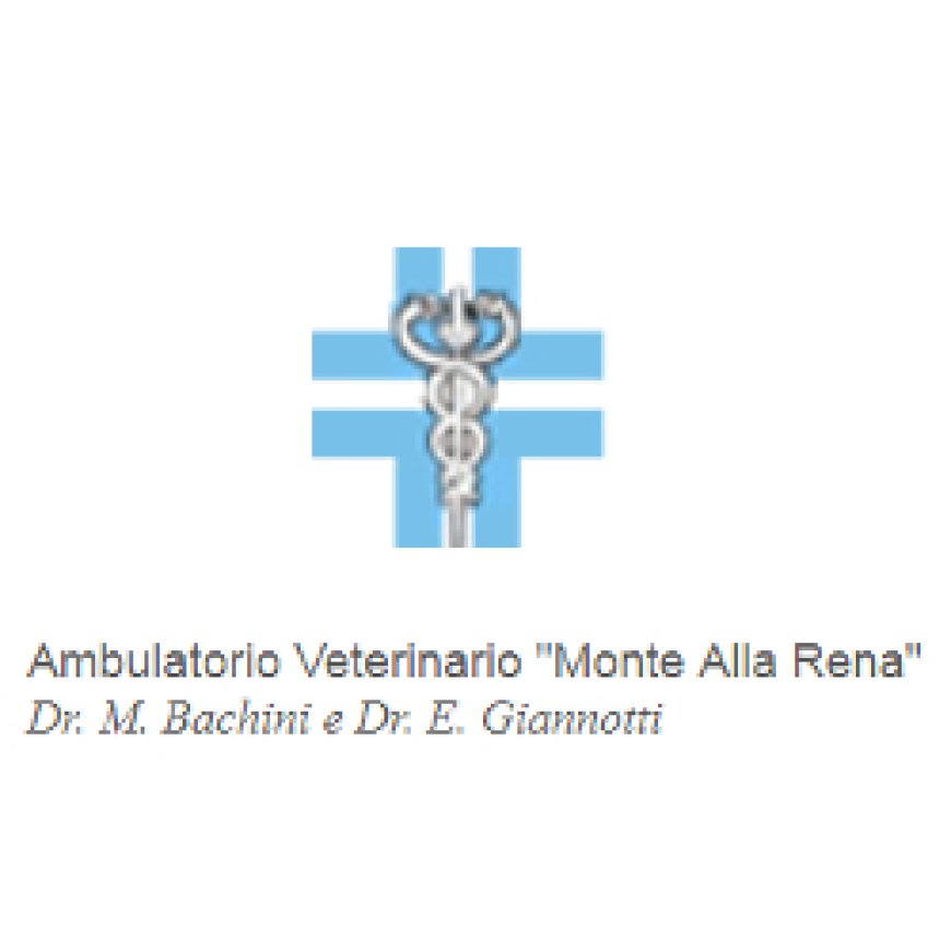 Rosignano solvay Ambulatorio Veterinario Monte alla Rena 0586 760730