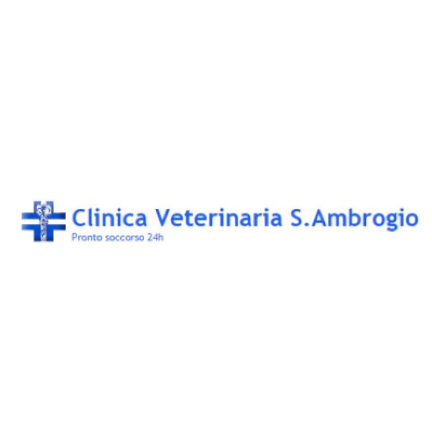 Romentino Clinica Veterinaria S. Ambrogio 0321 868540