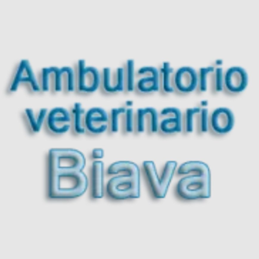 Rivarolo canavese Ambulatorio Veterinario Biava 337 341144