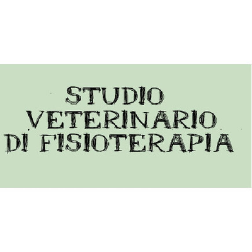 Prato Fisioterapia Veterinaria Prato 349 1771847