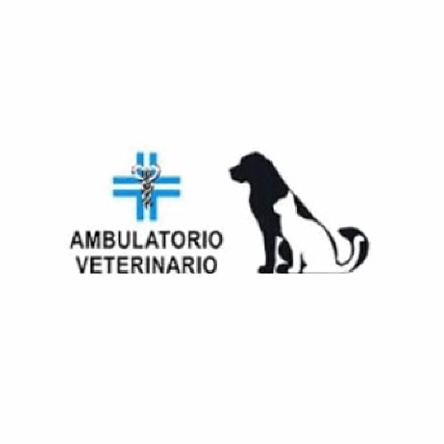 Prato Ambulatorio Veterinario Prato - Dott.ri Pucci Liani Bonacchi 0574 433524