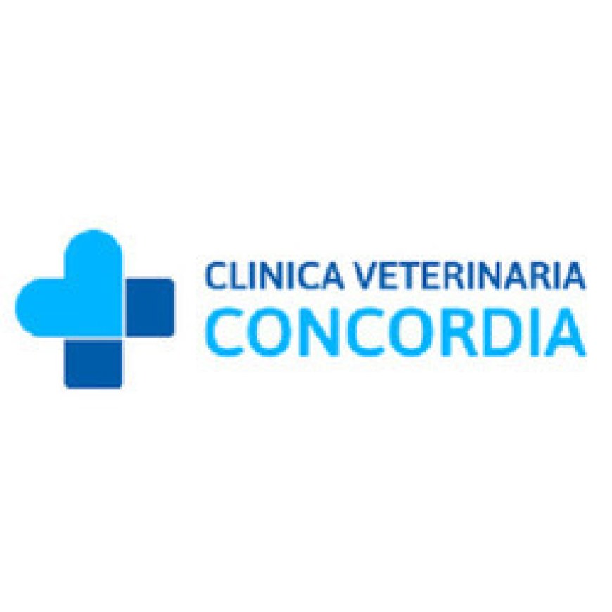 Portogruaro Clinica Veterinaria Concordia 0421 280018