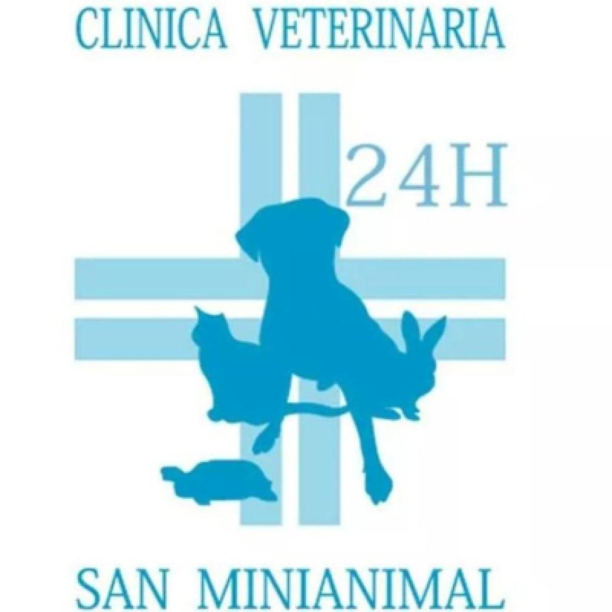 Ponte a egola Clinica Veterinaria San Minianimal 0571 497235