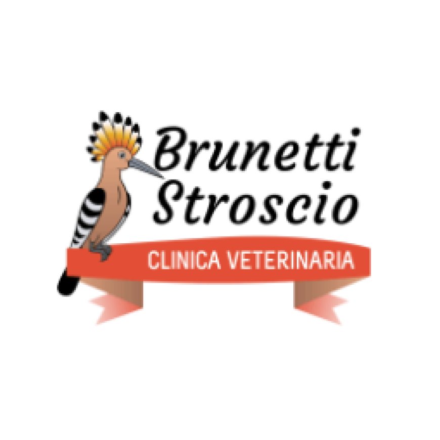 Pistoia Clinica Veterinaria Brunetti - Stroscio 0573 382344