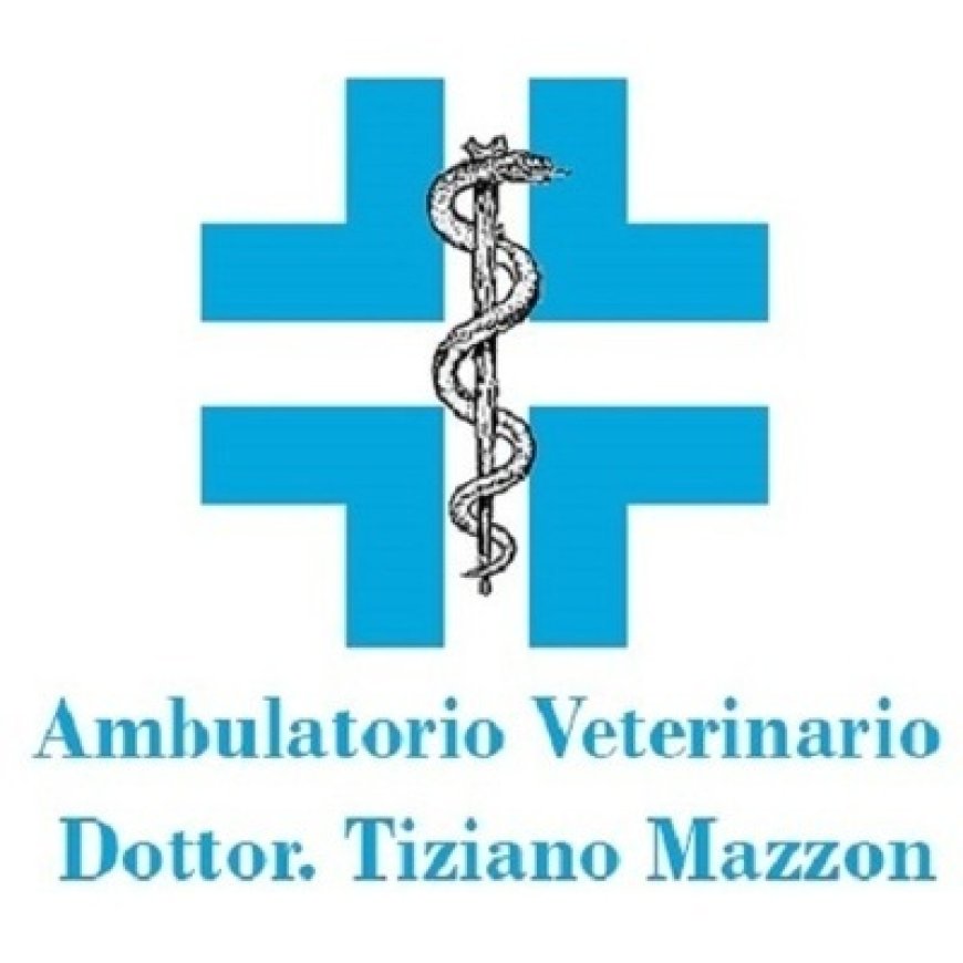 Piazzola sul brenta Ambulatorio Veterinario Mazzon Dr. Tiziano 049 5591564