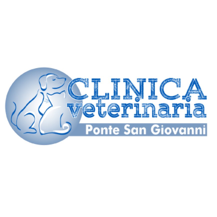 Perugia Clinica Veterinaria Ponte San Giovanni di Limongi Giuseppe e Mazzuti Anna 075 397176