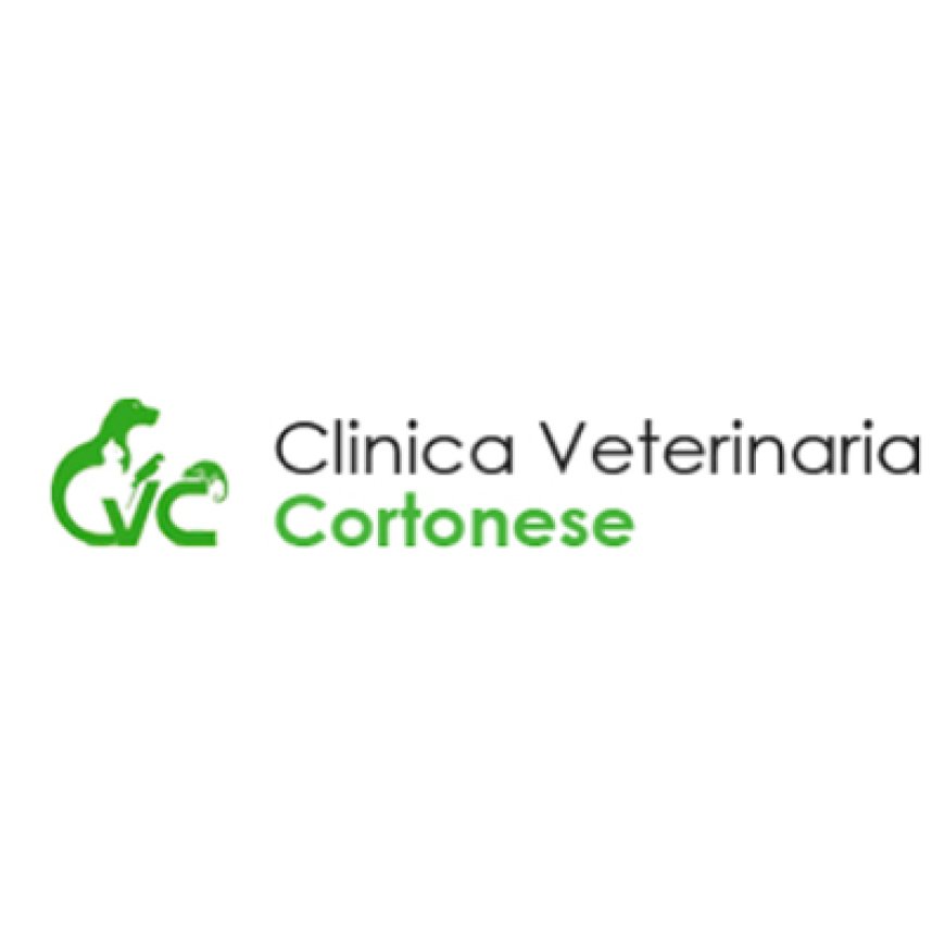 Perugia Clinica Veterinaria Cortonese 075 5055354