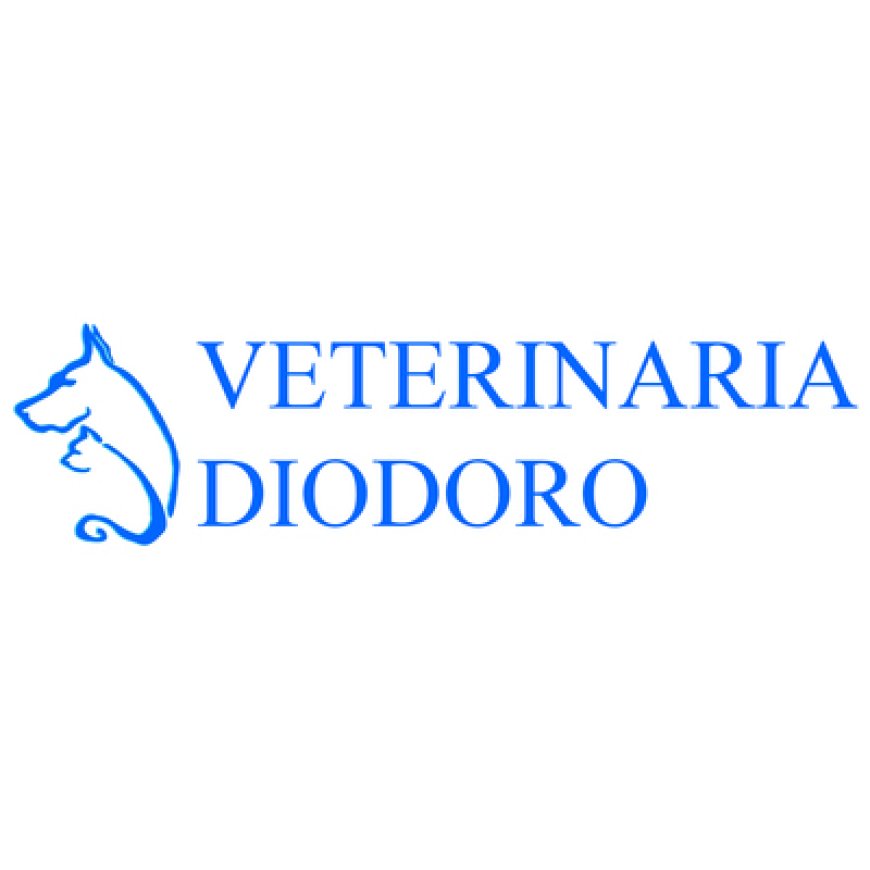 Palermo Veterinaria Diodoro 091 5082363