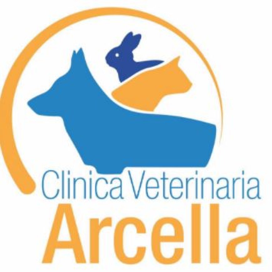 Padova Clinica Veterinaria Arcella 049 605672