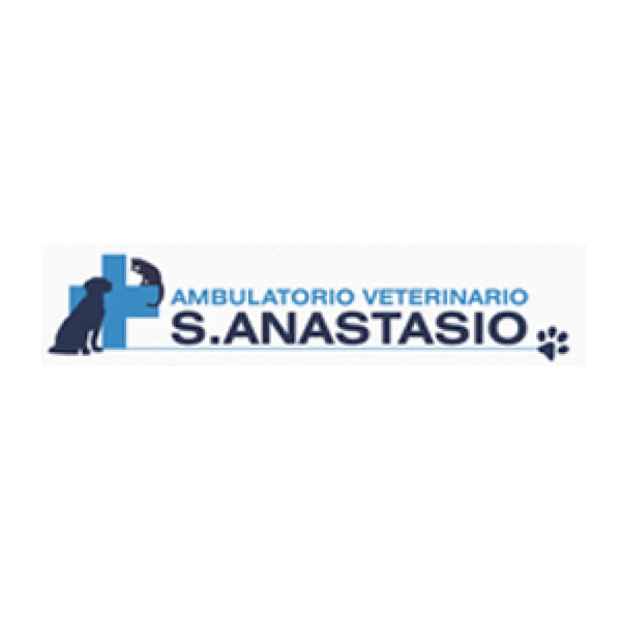 Olmo Ambulatorio Veterinario San Anastasio 0575 1824185