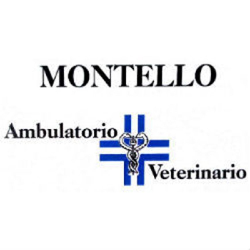Montebelluna Ambulatorio Veterinario Montello 0423 601775