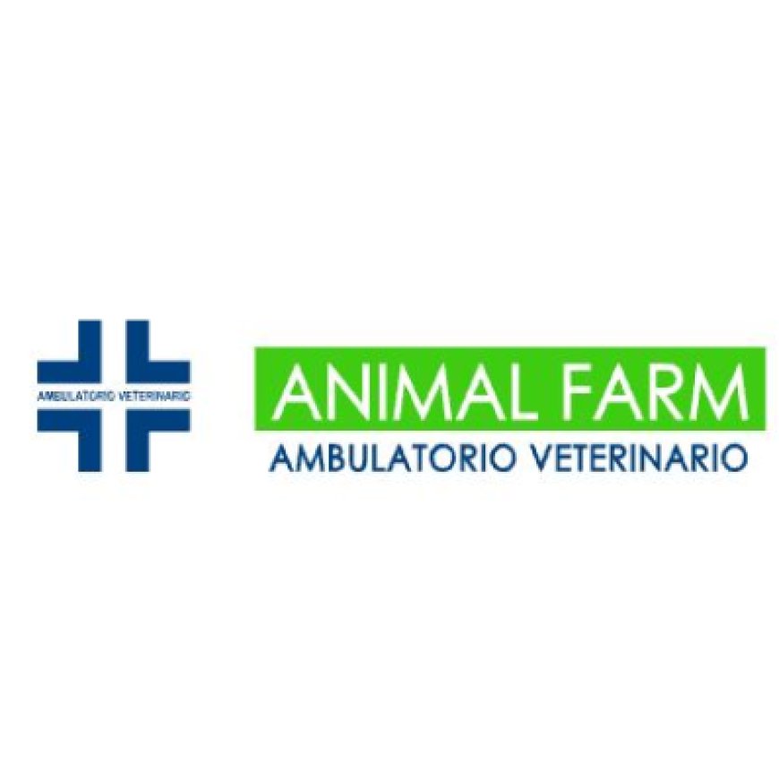 Montebelluna Ambulatorio Veterinario Animal Farm 0423 603444
