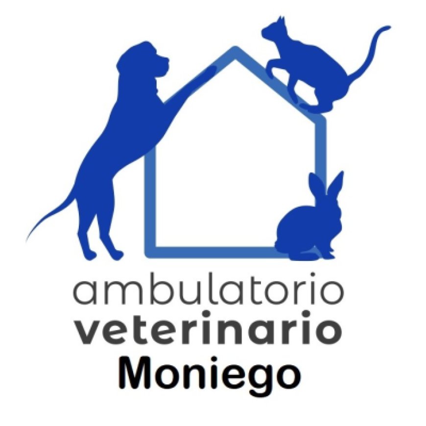 Moniego Ambulatorio Veterinario Moniego 041 440681