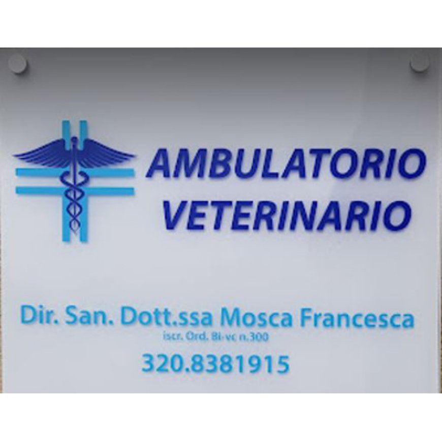 Mongrando Studio Veterinario Francesca Mosca 320 8381915