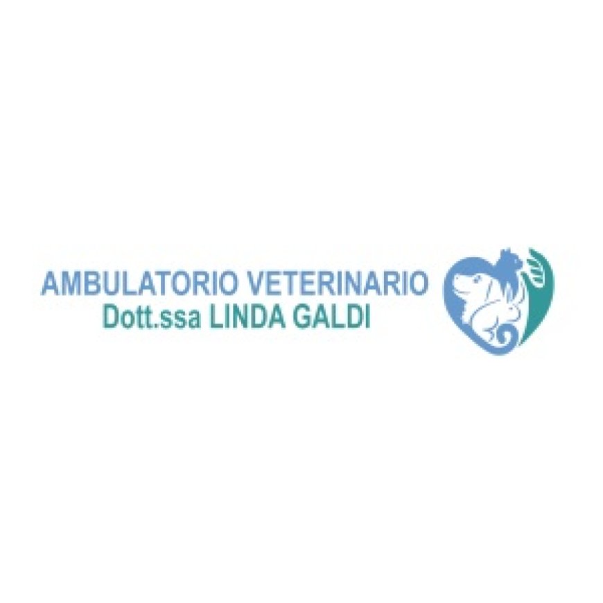 Moncalieri Ambulatorio Veterinario Dott.ssa Linda Galdi 340 3476500