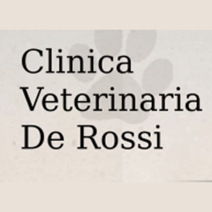Mirano Clinica Veterinaria De Rossi 041 5138034