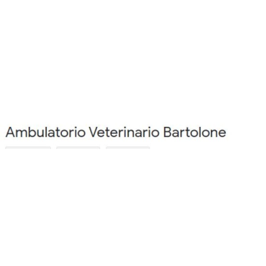 Messina Ambulatorio Veterinario Bartolone 090 715167