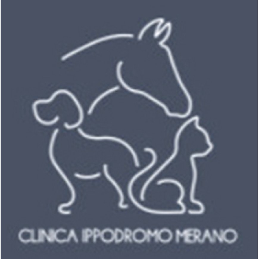 Merano Clinica Veterinaria Ippodromo Merano 0473 220022