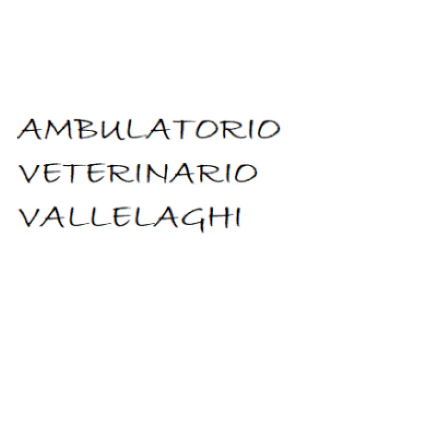 Madruzzo Ambulatorio Veterinario Vallelaghi Massimo Danielli 0461 564858