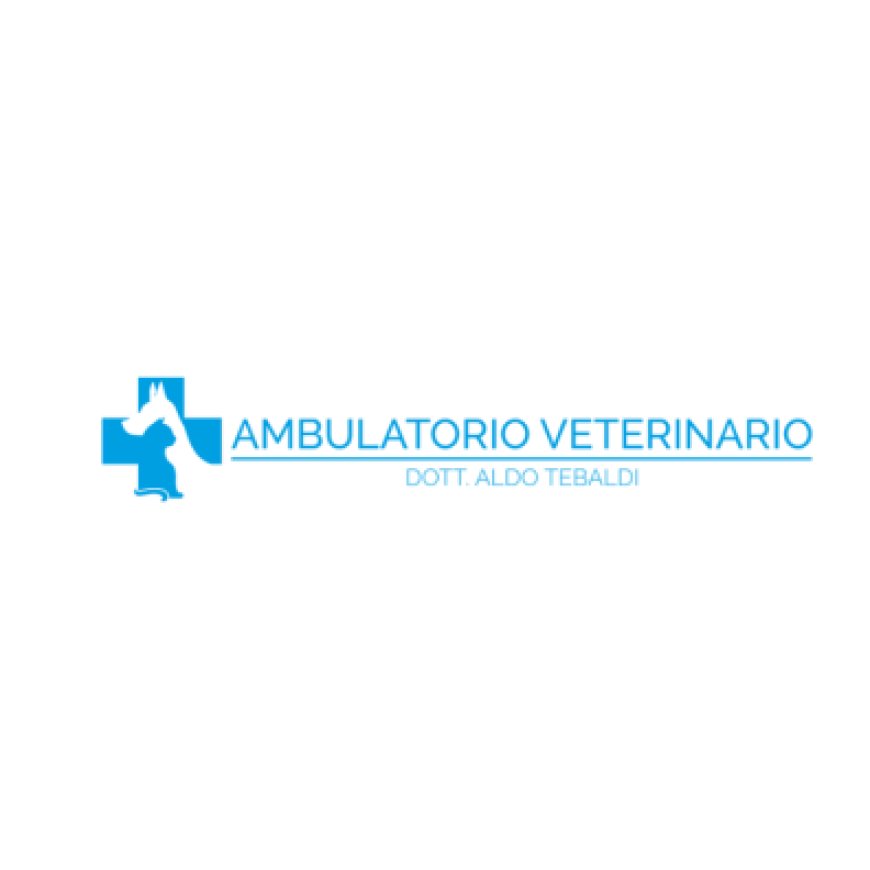 Lonigo Clinica Veterinaria Tebaldi 0444 832756